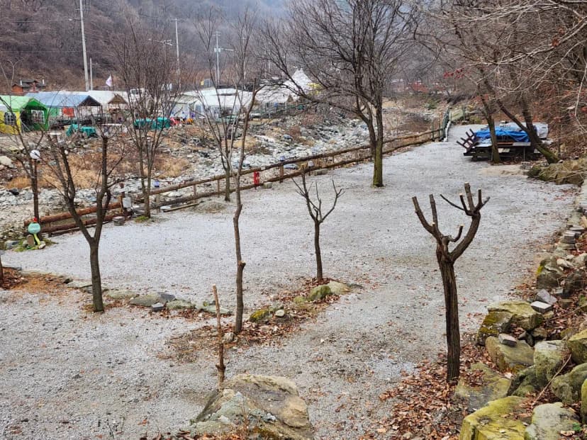 담터 민수 캠핑장 사진 20