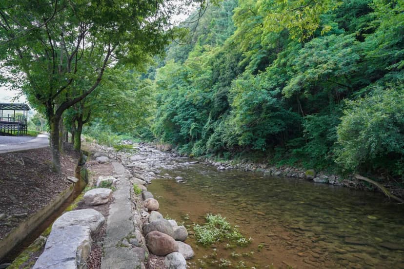 소백산 별빛감성 캠핑장 사진 10