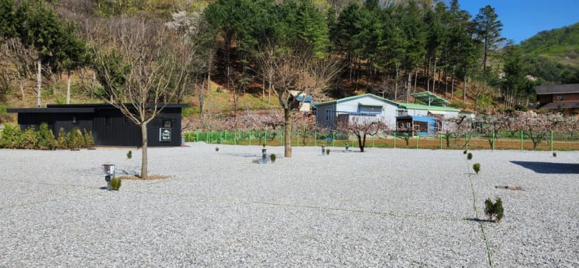 도전캠핑장 사진 8