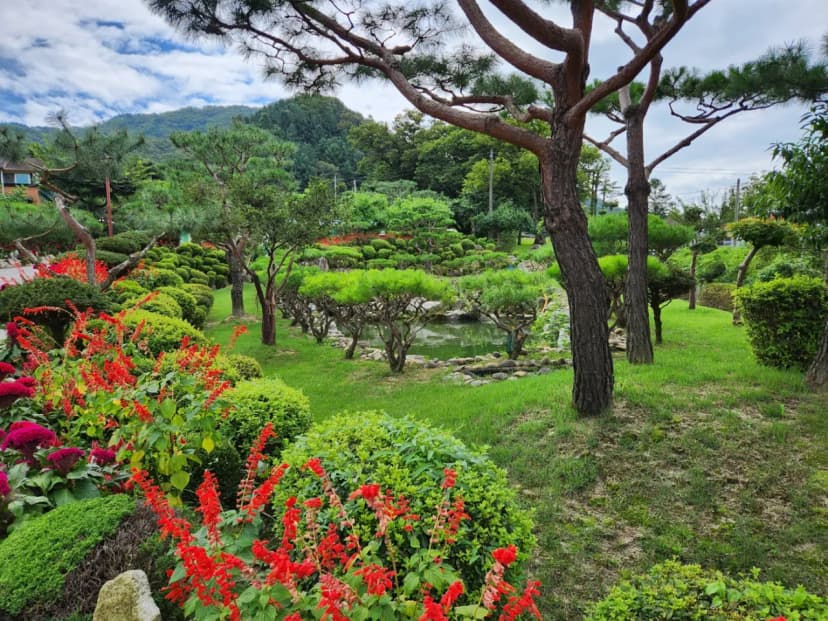 도전캠핑장 사진 14