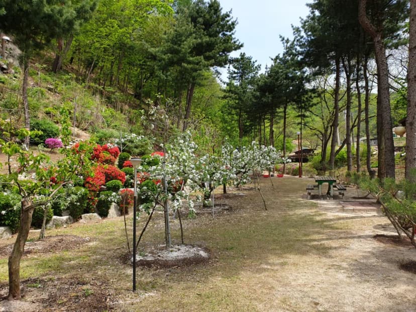 도전캠핑장 사진 19