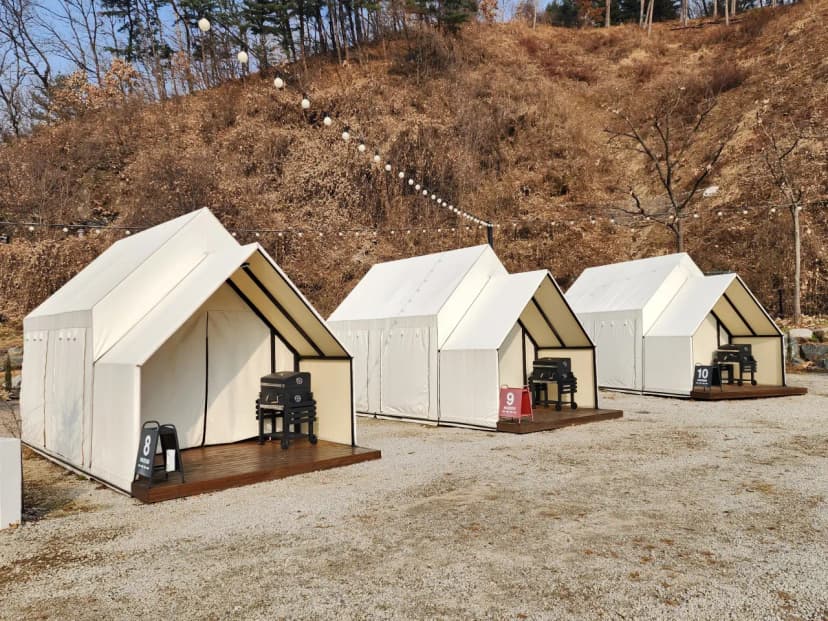 해든 사진 10