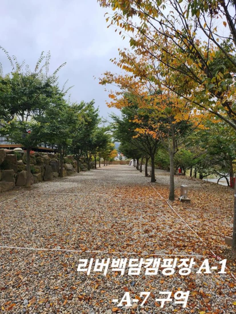리버백담 캠핑장 사진 3
