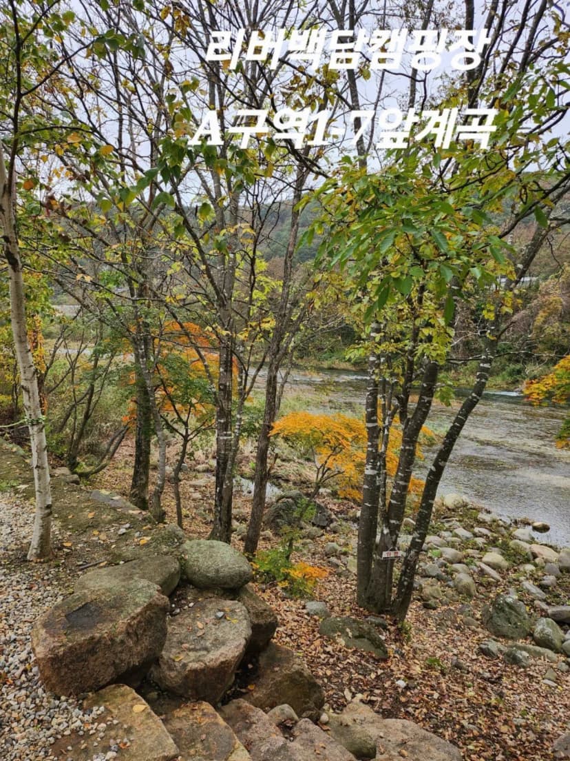 리버백담 캠핑장 사진 4