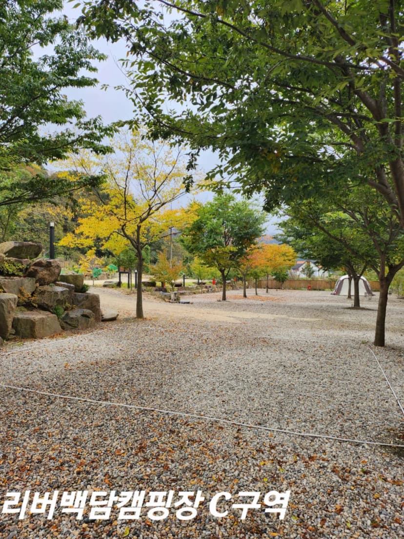 리버백담 캠핑장 사진 6