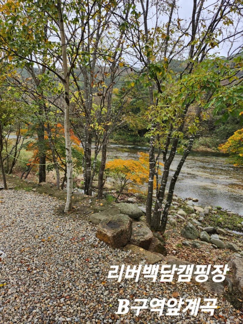 리버백담 캠핑장 사진 7