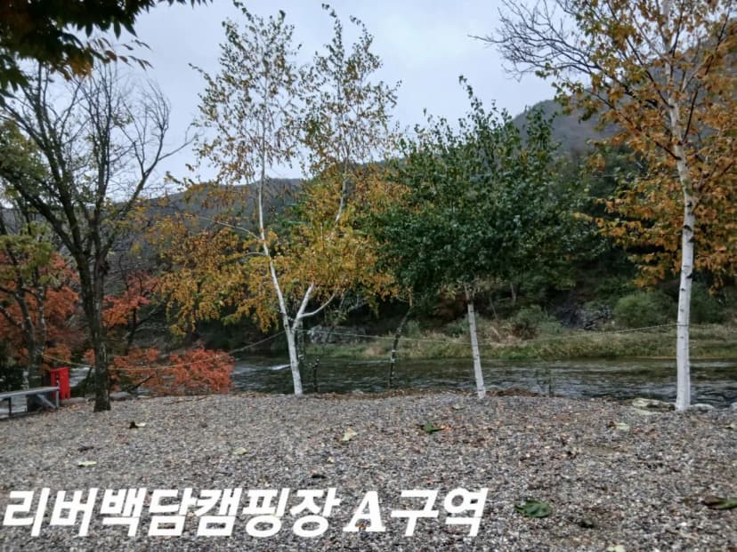 리버백담 캠핑장 사진 8