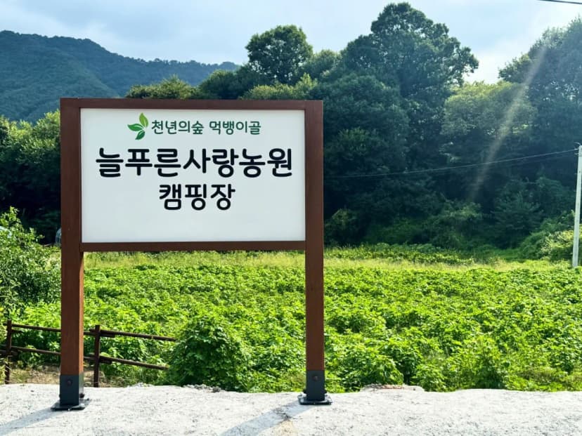 늘 푸른 사랑농원
