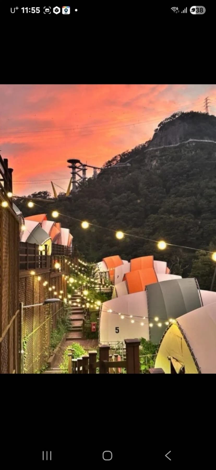 피톤치드 글램핑장 사진 1