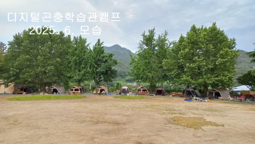 디지털곤충학습관캠프