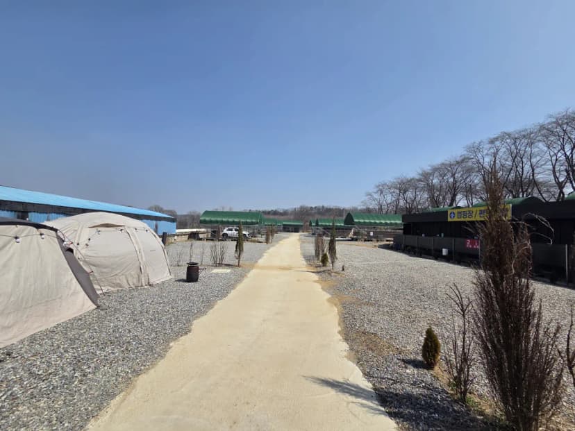 그랜드파파