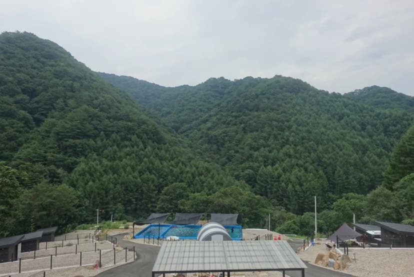 홈사리캠핑장 사진 4