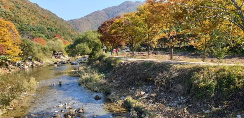 반딧불캠핑장 사진 15
