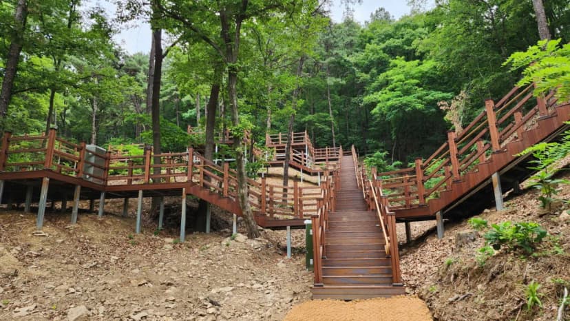 무봉산 자연휴양림 사진 9
