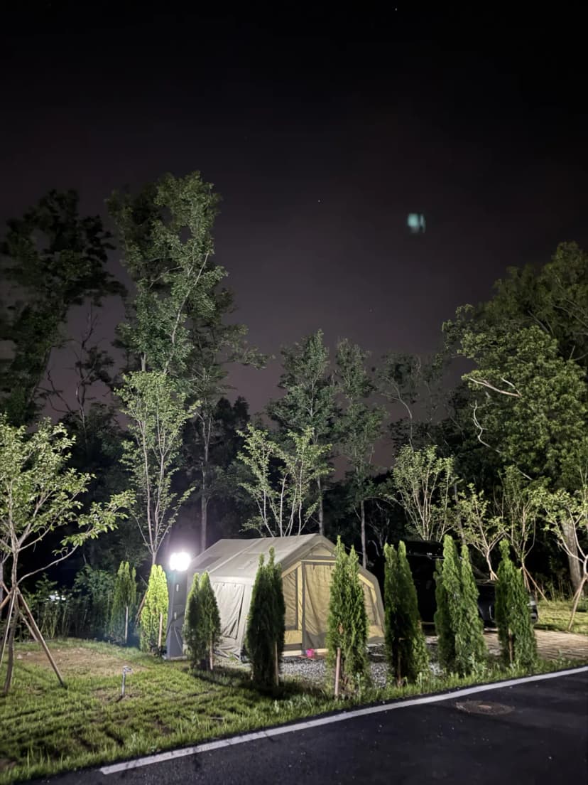 의성단밀숲속야영장 사진 4