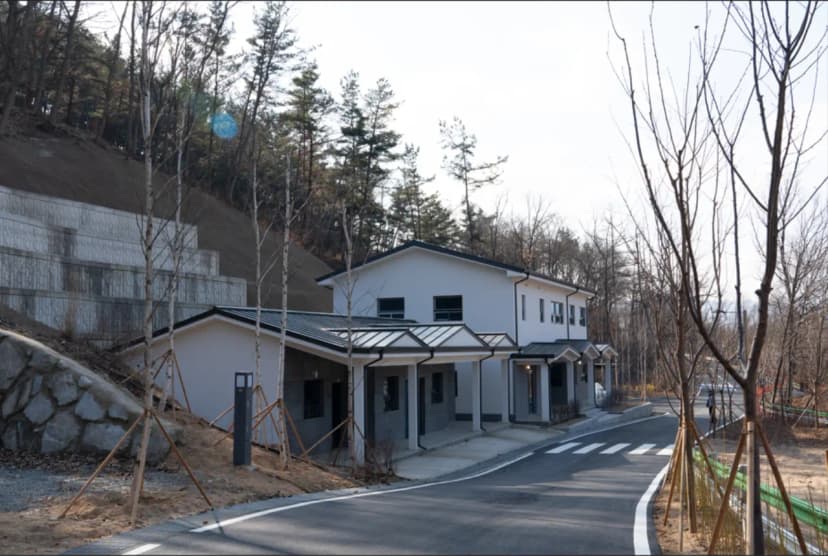 의성단밀숲속야영장 사진 14