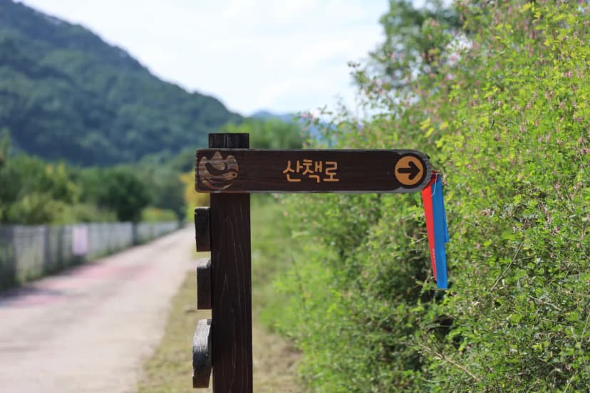 한계령 힐링 캠핑장 사진 4