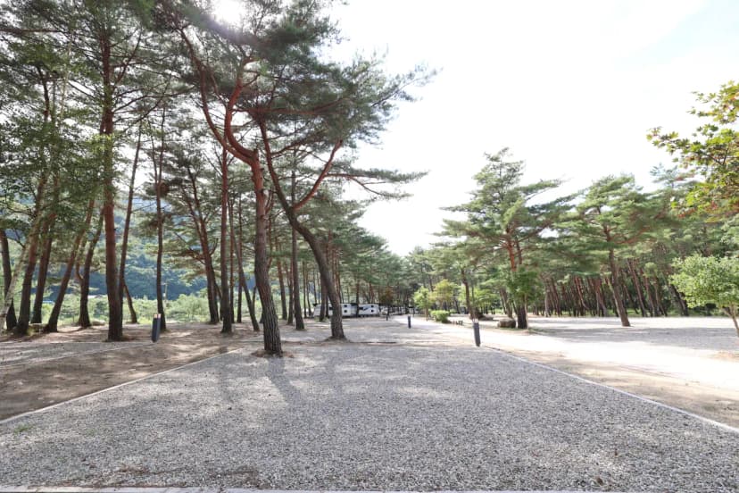 한계령 힐링 캠핑장 사진 8