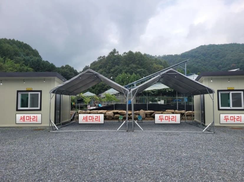 미꾸라지 캠핑장 사진 13