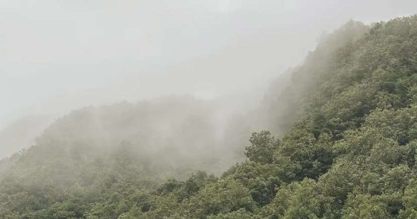 소프(SOPH)