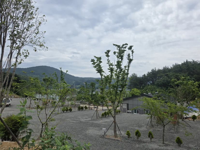 고성동화캠핑장 사진 11