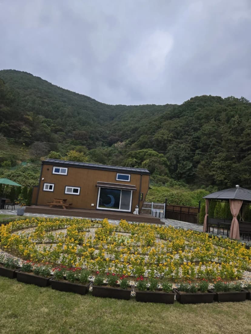 달빛소나타 사진 3