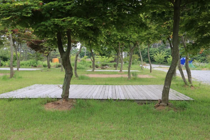 태안솔향기길캠핑장 사진 12