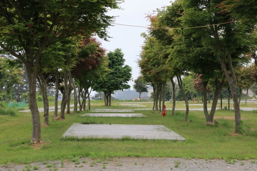 태안솔향기길캠핑장 사진 15