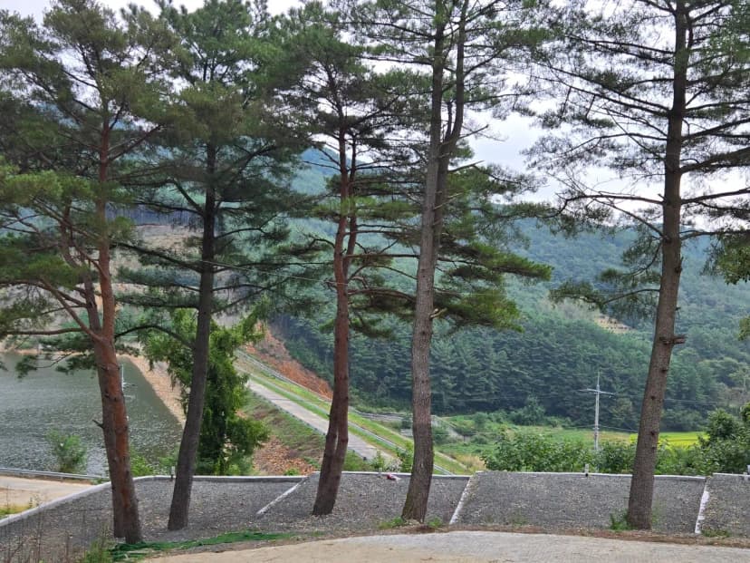 화금지 숲속캠핑장 사진 8