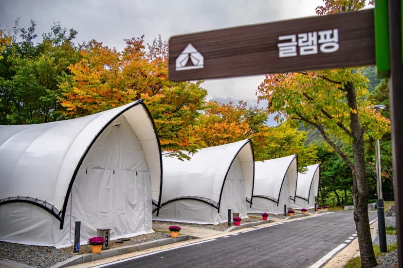 청량산 수원캠핑장 사진 20