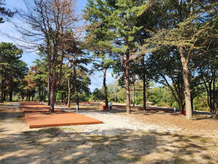 팜파스농원 사진 12