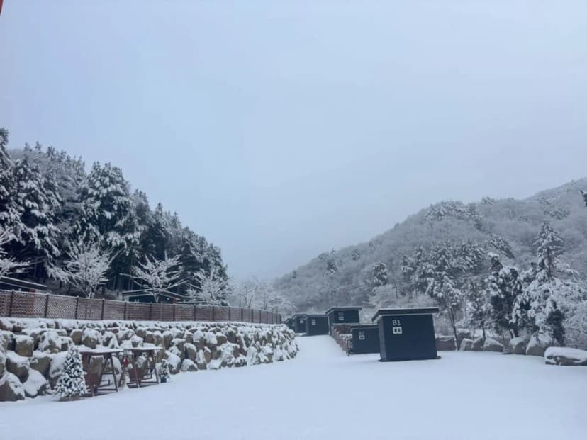 고슬로우 캠핑장 사진 16