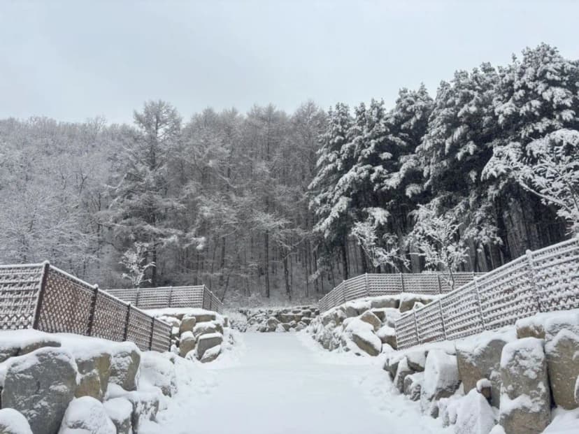 고슬로우 캠핑장 사진 17