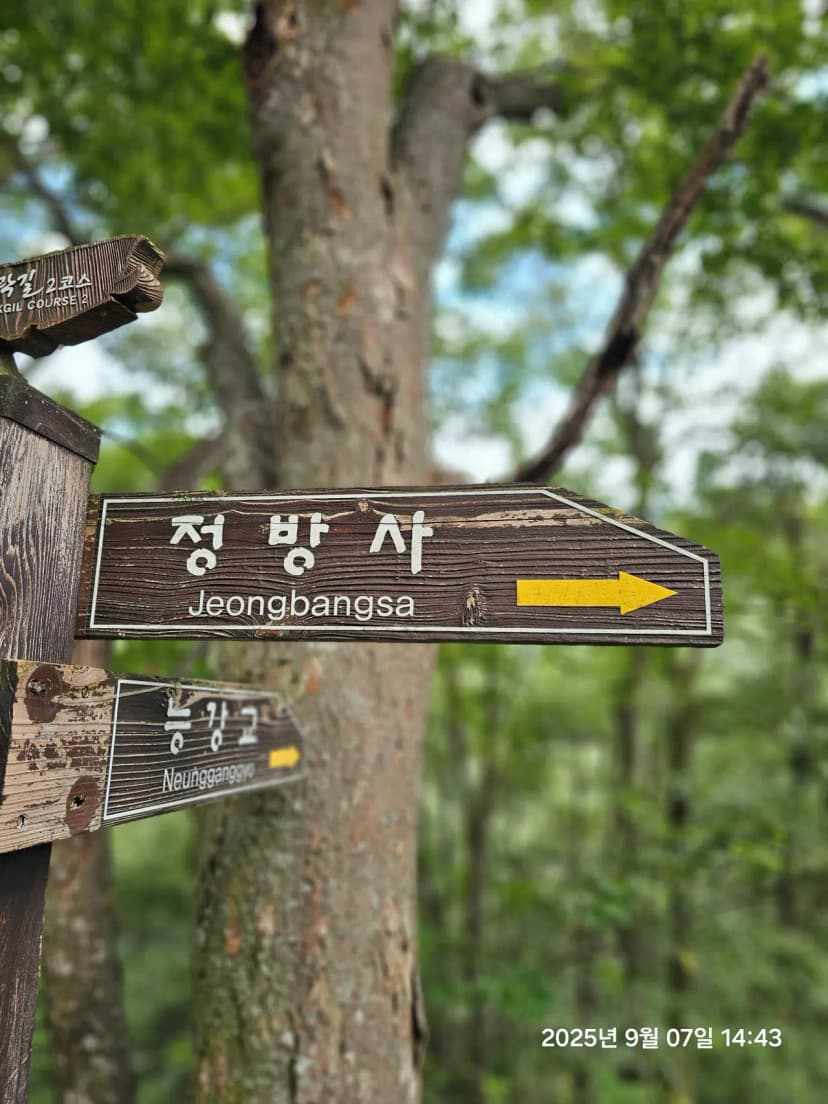 아웃오프 글램핑 사진 9