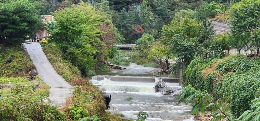 수안보 동그라미 캠핑장 사진 5