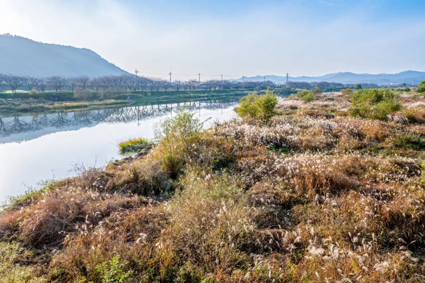 영벽정오토캠핑장 사진 14