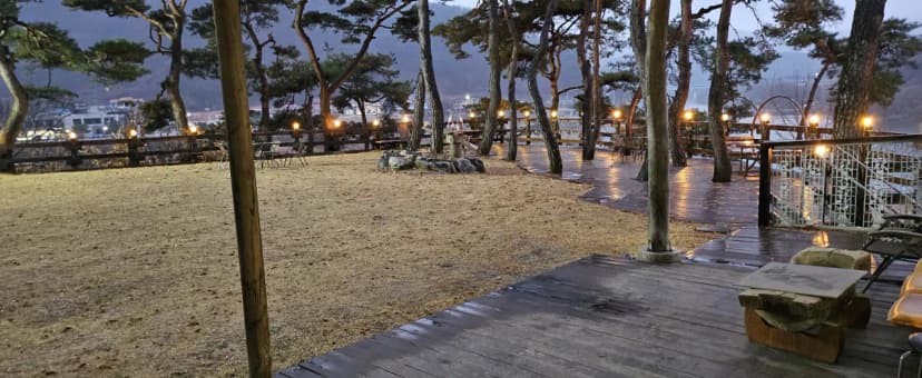 운하숲