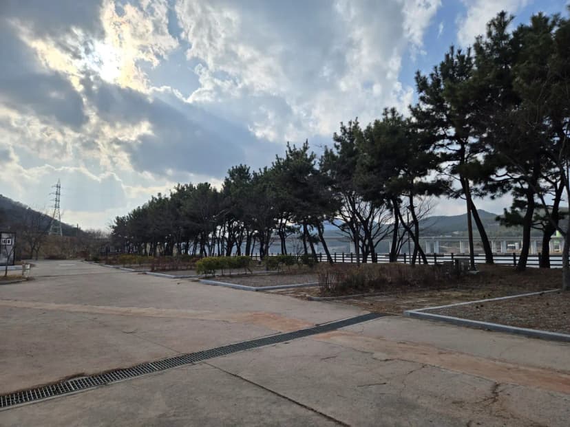 배알도 별빛야영장 사진 3