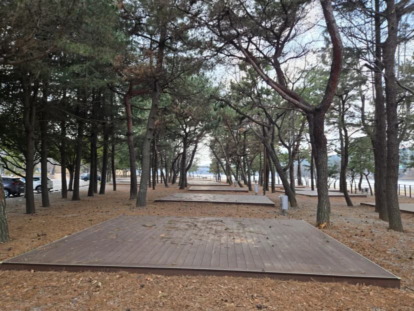 배알도 별빛야영장 사진 4