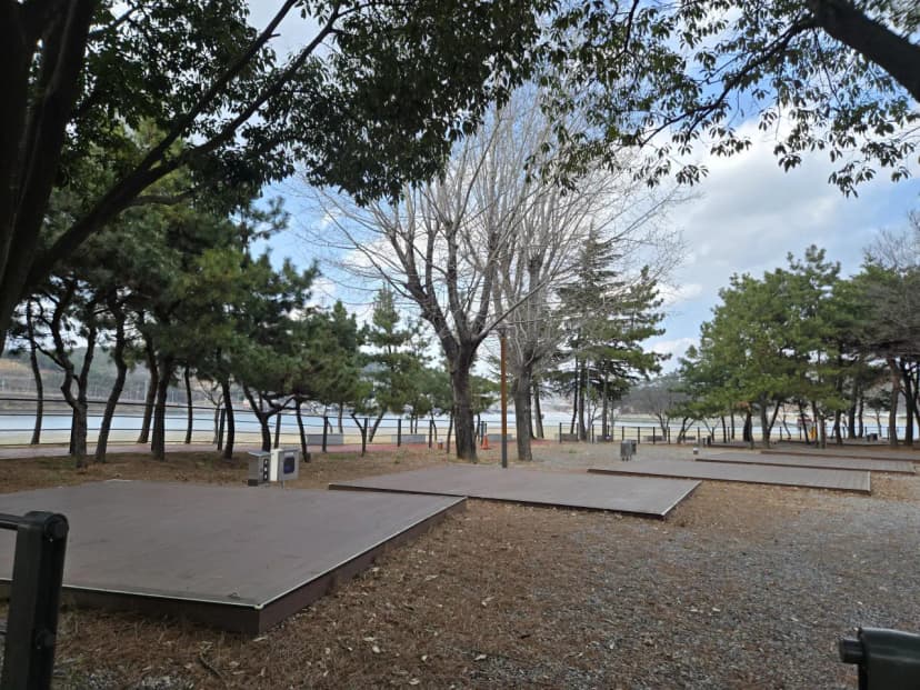 배알도 별빛야영장 사진 5