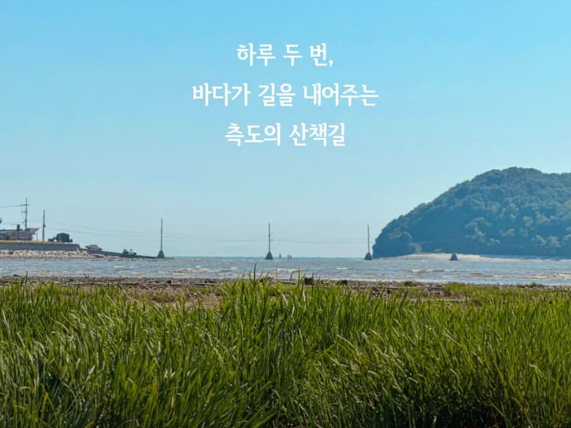 뻘마당캠핑장 사진 5