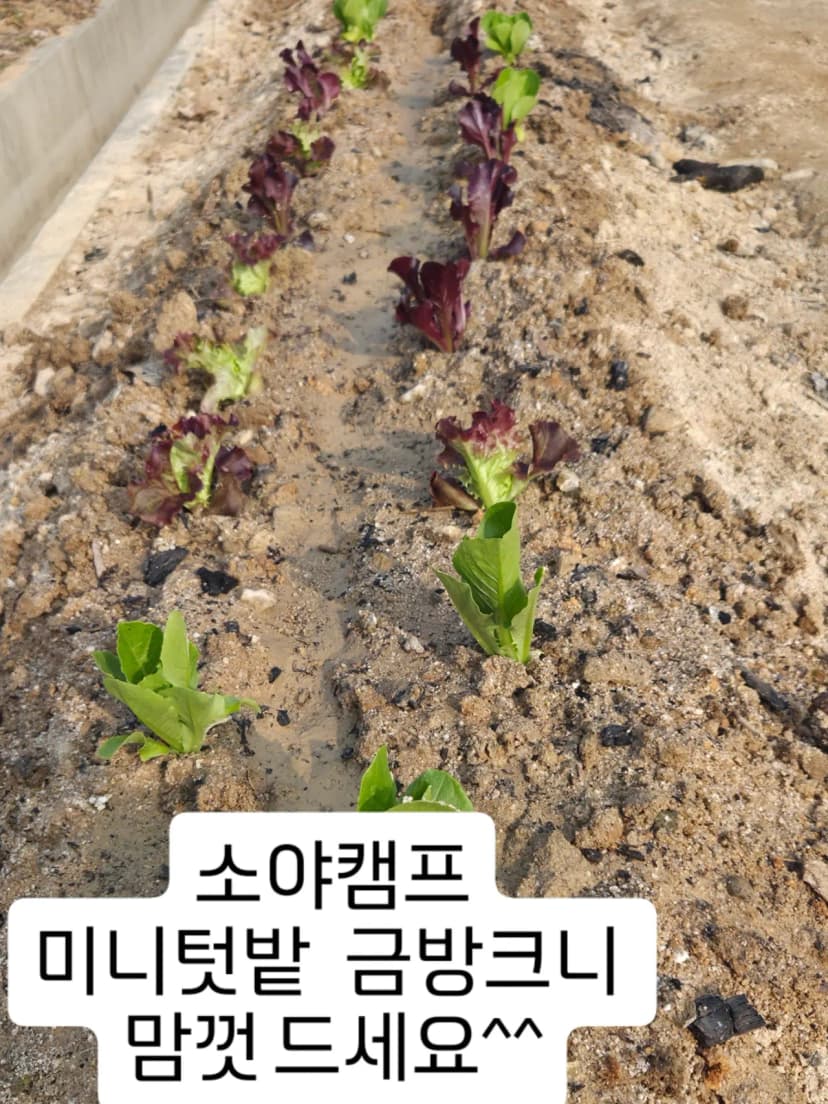 소야캠프 사진 10
