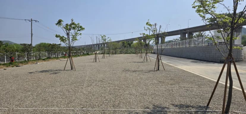마루벌캠핑장 사진 4