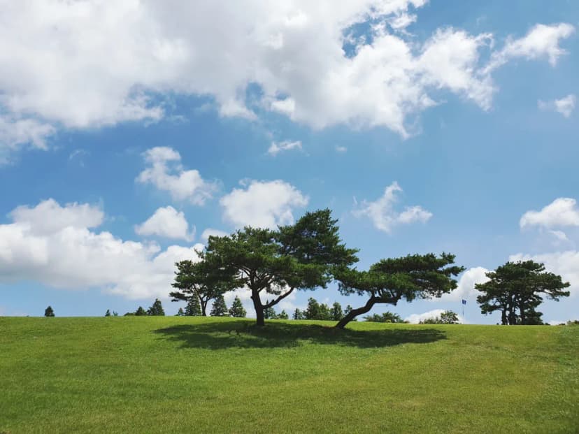 화랑의 언덕 캠핑장