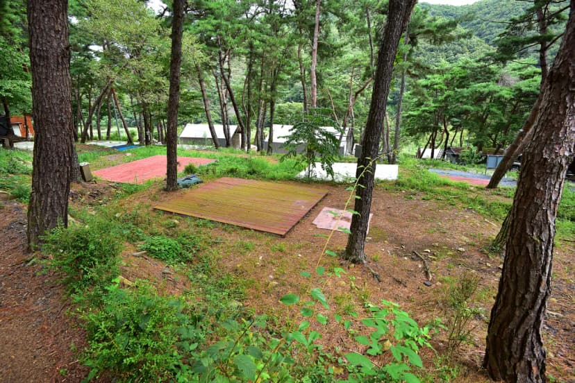 마이산 풍혈냉천 캠핑장 사진 8