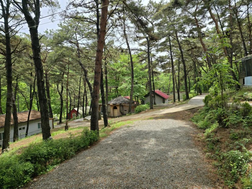 마이산 풍혈냉천 캠핑장 사진 18