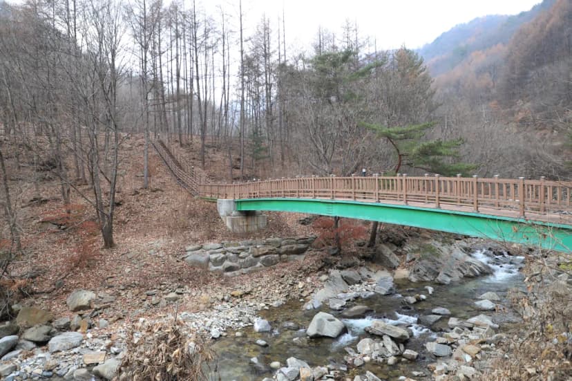 만산동 국민여가 캠핑장 사진 3