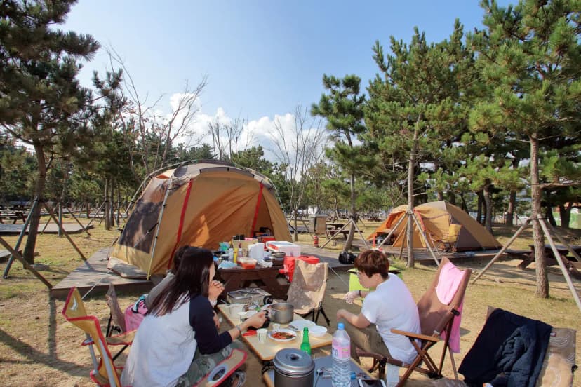 망상오토캠핑리조트 제2오토캠핑장 사진 16