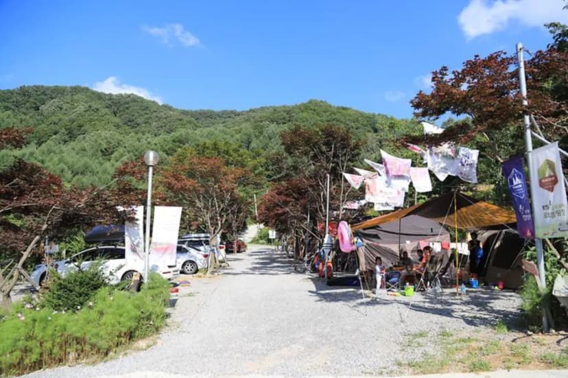 매봉힐링캠프 사진 3