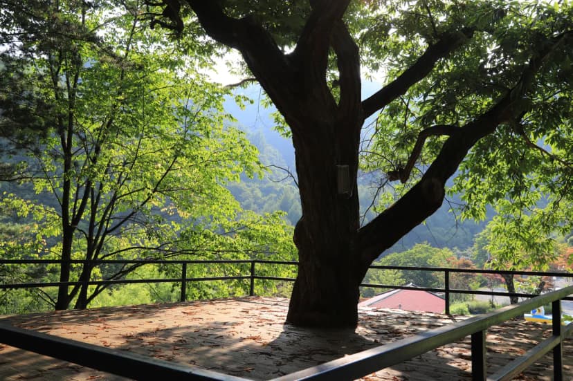 매봉힐링캠프 사진 10